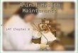 Animal Health Maintenance LAT Chapter 8. Chapter 8 LAT Presentations Study Tips If viewing this in PowerPoint, use the icon to run the show.  Mac users