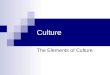 Culture The Elements of Culture. Culture Culture: The way of life of a group of people who share similar beliefs and customs