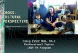 CROSS- CULTURAL PERSPECTIVES Craig Ernst MHS, PA-C Professional Topics LHUP PA Program