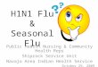 H1N1 Flu & Seasonal Flu Public Health Nursing & Community Health Reps Shiprock Service Unit Navajo Area Indian Health Service October 29, 2009