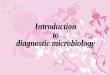 Diagnosis of Microbial Infection Patient Sample Clinical diagnosis Haematology Biochemistry Non-microbiological investigations Radiology Take the correct