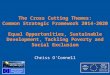 The Cross Cutting Themes: Common Strategic Framework 2014-2020 Equal Opportunities, Sustainable Development, Tackling Poverty and Social Exclusion Chriss