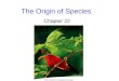 The Origin of Species Chapter 22. The Nature of Species The concept of species must account for two phenomena: –The distinctiveness of species that occur