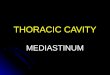 THORACIC CAVITY MEDIASTINUM. Mediastinum Mediastinum = space between lungs. Mediastinum = space between lungs. Superior mediastinum: Superior mediastinum: