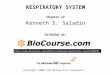Copyright ©2002 The McGraw-Hill Companies. RESPIRATORY SYSTEM Chapter 22 Kenneth S. Saladin EXTRAÍDO DE: 