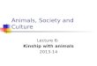 Animals, Society and Culture Lecture 6: Kinship with animals 2013-14
