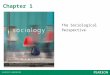 Chapter 1 The Sociological Perspective. What Is Sociology? Sociology is the scientific study of human society. © 2013 Pearson Education, Inc. All rights