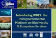 Introducing IPBES: the Intergovernmental Platform on Biodiversity & Ecosystem Services