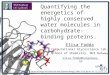 Quantifying the energetics of highly conserved water molecules in carbohydrate- binding proteins. Elisa Fadda Computational Glycoscience Lab, School of