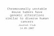 Chromosomally unstable mouse tumors have genomic alterations similar to diverse human cancers Journal Club 14.09.2007