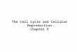 The Cell Cycle and Cellular Reproduction Chapter 9
