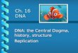Ch. 16 DNA DNA: the Central Dogma, history, structure Replication
