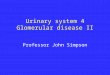 Urinary system 4 Glomerular disease II Professor John Simpson
