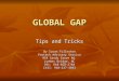 GLOBAL GAP Tips and Tricks By Susan Fullerton Protech Advisory Service 955 Sandy Grove Rd. Lumber Bridge, NC Ofc: 910-858-3740 Cell: 910-237-4893