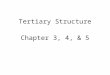 Tertiary Structure Chapter 3, 4, & 5. Tertiary Structure Tertiary structure describes how the secondary structure units associate within a single polypeptide