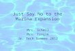 Just Say No to the Marina Expansion Mrs. Schell Mrs. Tingle Jr. Tech Summer 2012