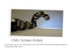 Http://www- cgi.cs.cmu.edu/afs/cs.cmu.edu/Web/People/biorobotics/projects/modsnake/ind ex.html CMU Snake Robot