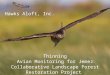 Hawks Aloft, Inc. Thinning Avian Monitoring for Jemez Collaborative Landscape Forest Restoration Project 2012-2104