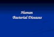Human Bacterial Diseases. Who do they affect? Bacteria cause half of all human diseases Bacteria cause half of all human diseases Bacteria are carried