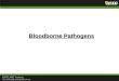 Bloodborne Pathogens. What Are Bloodborne Pathogens? Bloodborne pathogens are micro- organisms such as viruses or bacteria that are carried in blood and