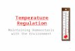 Temperature Regulation Maintaining Homeostasis with the Environment 1