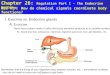 Chapter 26: Regulation Part I - The Endocrine System NEW AIM: How do chemical signals coordinate body functions? I. Exocrine vs. Endocrine glands A. Exocrine