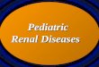 Pediatric Renal Diseases Pediatric Renal Diseases