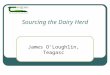 Sourcing the Dairy Herd James O’Loughlin, Teagasc