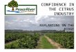 CONFIDENCE IN THE CITRUS INDUSTRY REPLANTING ON THE RIDGE