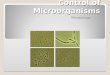 Control of Microorganisms Microbiology Control of Microbial Growth Effected in two basic ways: 1. Biocidal action: Killing Microorganisms 2. Biostatic