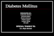 Diabetes Mellitus PRESENTED BY: Folasade Adesina Michael Itidiare Nicole Lafortune Sophia Laguer Lauren Young Ali Zaidi SPECIAL THANKS TO: Dr. Aliya Brown