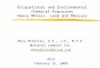1 Occupational and Environmental Chemical Exposures Heavy Metals: Lead and Mercury Mary McDaniel, D.O., J.D., M.P.H. McDaniel Lambert Inc. mfmcdaniel@mclam.com