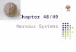 Chapter 48/49 Nervous Systems. The human brain contains an estimated 100 billion nerve cells, or neurons Each neuron may communicate with thousands of