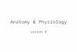 Anatomy & Physiology Lesson 8. THE ENDOCRINE SYSTEM Two body systems are responsible for sending and receiving sensory information and coordinating body