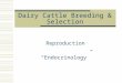 Dairy Cattle Breeding & Selection Reproduction “Endocrinology”