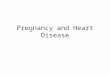 Pregnancy and Heart Disease. Physiology Blood volume increases (about 50%) Hg concentration falls “physiologic anemia of pregnancy” Cardiac output increases