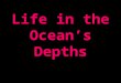 Life in the Ocean’s Depths. Survival in the Deep Sea Sunlight fades with increased depth Tremendous pressure of ocean depths – 1 atm at sea level – Increase