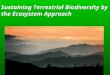 Sustaining Terrestrial Biodiversity by the Ecosystem Approach