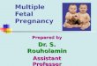 Multiple Fetal Pregnancy Prepared by Dr. S. Rouholamin Assistant Professor