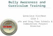 Bully Awareness and Curriculum Training Genevieve Kirchman CESA 5 Safe and Drug Free Schools & Communities Project Director