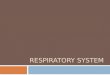 RESPIRATORY SYSTEM. Introduction  So far we have studied respiration on a cellular level  What do we remember?  Purpose?  Reactants?  Products?