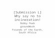 [Submission L] Why say no to incineration! Bobby Peek groundWork Friends of the Earth, South Africa