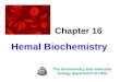Chapter 16 Hemal Biochemistry The biochemistry and molecular biology department of CMU