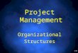 1/48 Project Management Organizational Structures