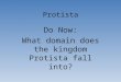 Protista Do Now: What domain does the kingdom Protista fall into?