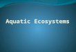 There are 2 types: Freshwater – Life in lakes, ponds, rivers, streams, and wetlands Marine – Life in the ocean What makes up an ecosystem? Ecosystem –