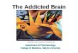 Department of Pharmacology, College of Medicine, Hallym University The Addicted Brain COPYRIGHT 2004 SCIENTIFIC AMERICAN, INC