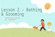 Lesson 2 – Bathing & Grooming Veterinary Science Mr. Dieckhoff