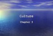 Culture Chapter 3. Development of Culture What is culture? What is culture? The entire way you live. The entire way you live. If you were going to make