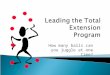 How many balls can you juggle at one time?. Identify 7 balls extension middle managers juggle every day in leading the extension program Identify strategies